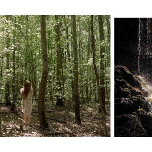 Anderson University  Swank and Ackerman